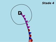 Perturbation - Stade 4 Perturbation - Stade 4
